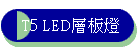 T5 LEDhOO